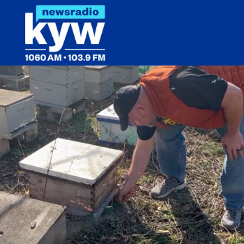 KYW News Spotted Lanternfly Honey